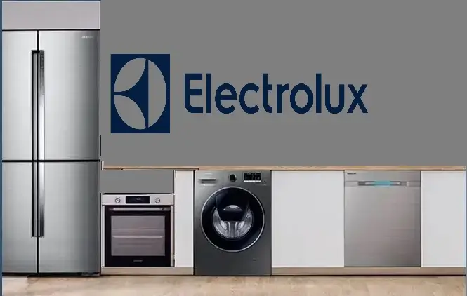 Zeytinburnu Electrolux servisi